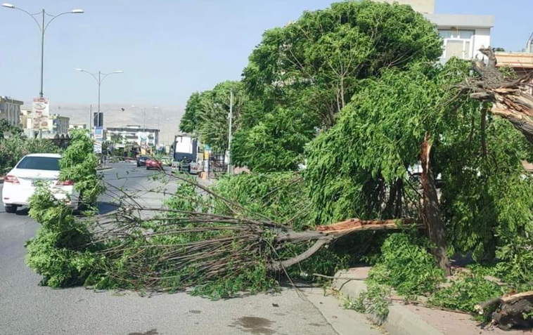 هۆشداری ڕوودانی ڕەشەبایەكی بەهێز لە سلێمانی دەدرێت