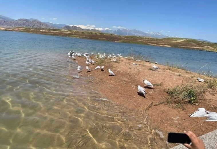 گەشتیاران لە سەردانیکردنی ناوچەیەکی دەریاچەی دوکان ئاگادار دەکرێنەوە