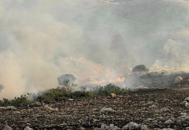 لە شەش ڕووداوی ئاگرکەوتنەوەدا زیاتر لە 800 دۆنمی سنووری سلێمانی سووتان