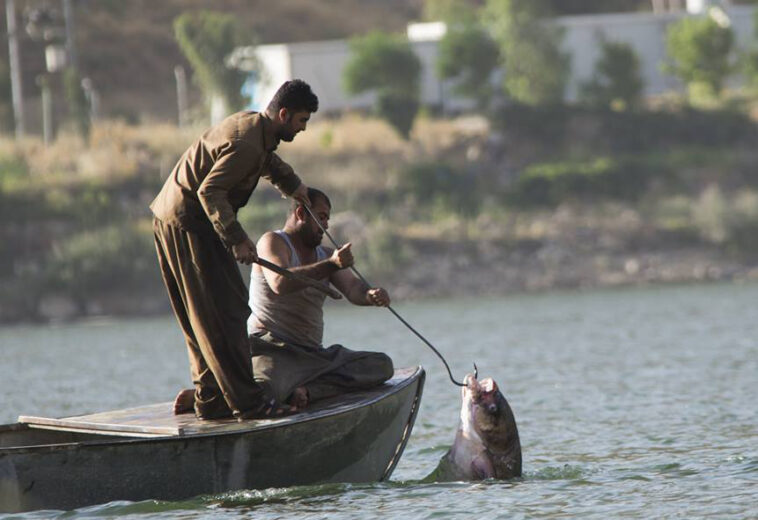 لە بەنداوێکی هەرێم تا ساڵێكی دیکە ڕاوکردنی ماسی قەدەغە کرا