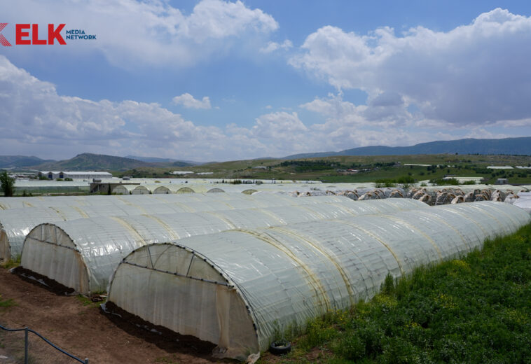 مەترسی ماددە قڕکەرەکان ناوچەی بازیانی تەنیوە