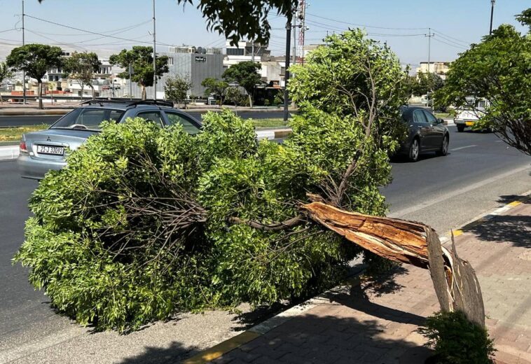 ڕەشەبایەكی بەهێز سلێمانی دەگرێتەوە