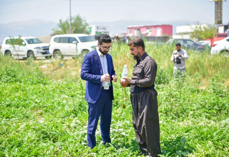 “نرخی تەمامە هەرزان دەبێت”