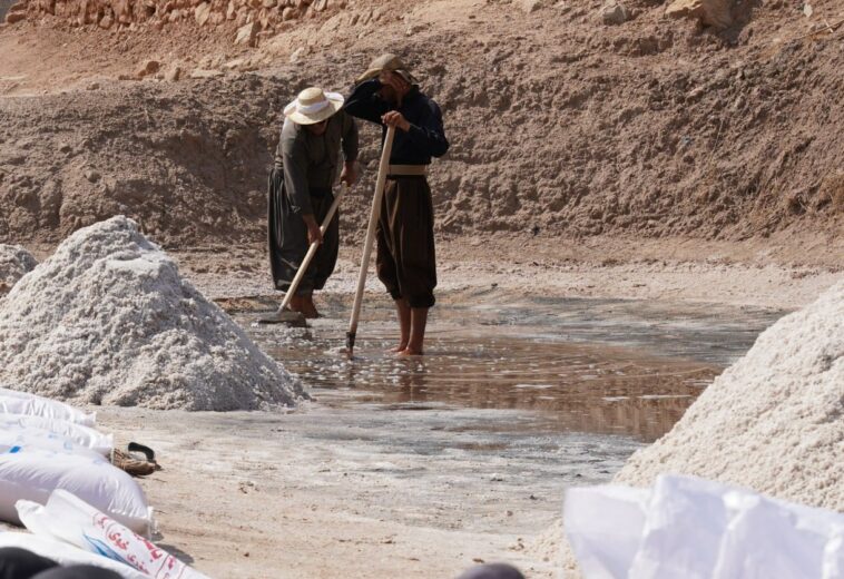 بەرهەمهێنانی خوێ لە ئاوی کانیاو لە گوندێکی ناحیەی سەنگاو