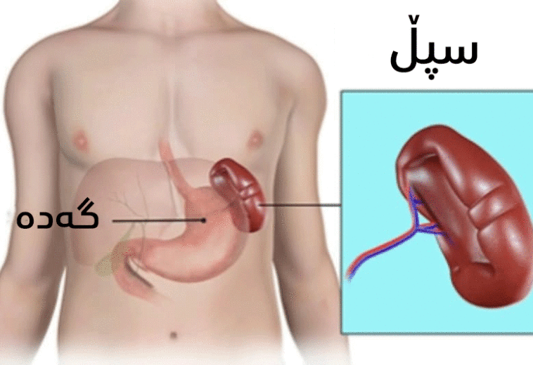 چی دەربارەی نەخۆشی فاتە ڕەشە دەزانن؟